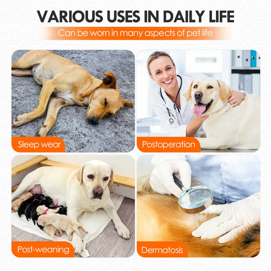 Leg Free Coverage Dog Recovery Suit