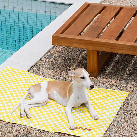 Playful Dog Cooling Mat