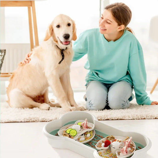 Premium Multi-layer Dog Enrichment Bowl