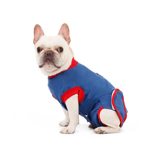 Recovery Suit for Small and Medium Dogs