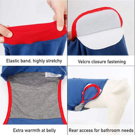 Recovery Suit for Small and Medium Dogs