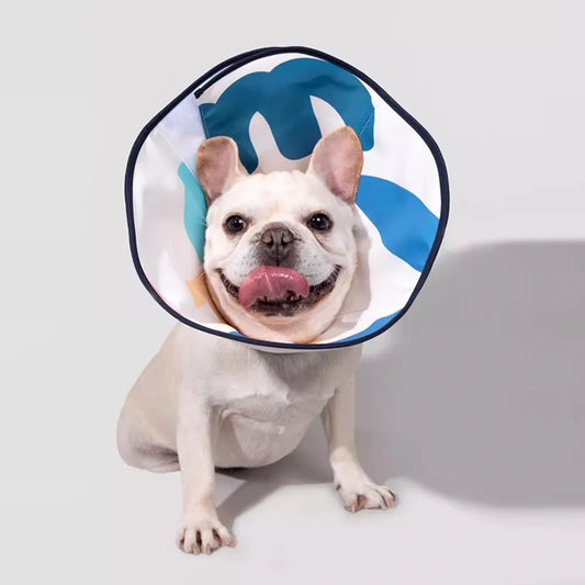 Standard Dog Elizabethan Collar