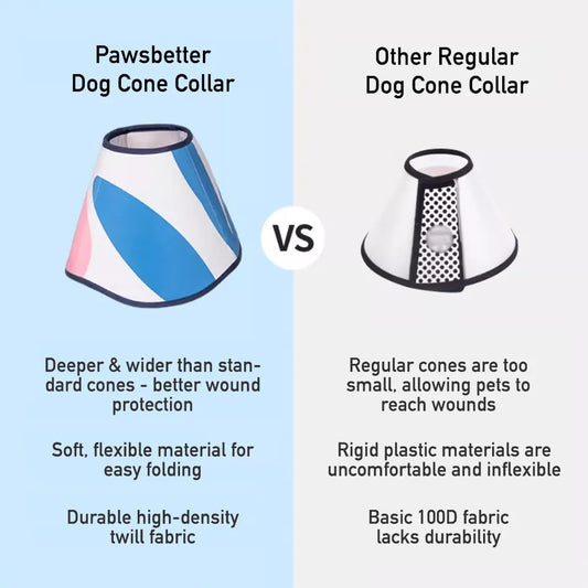 Standard Dog Elizabethan Collar